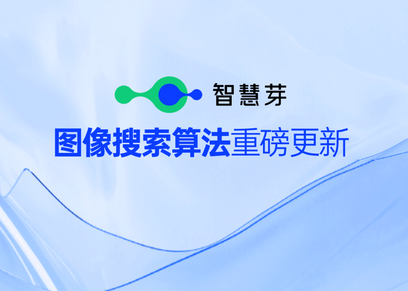 304am永利集团图像搜索算法数据解决方案，一图排查全球专利侵权风险